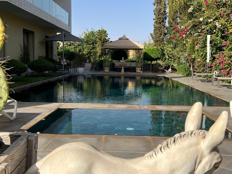 Garden, Garden view, Pool view, Swimming pool, sunbed