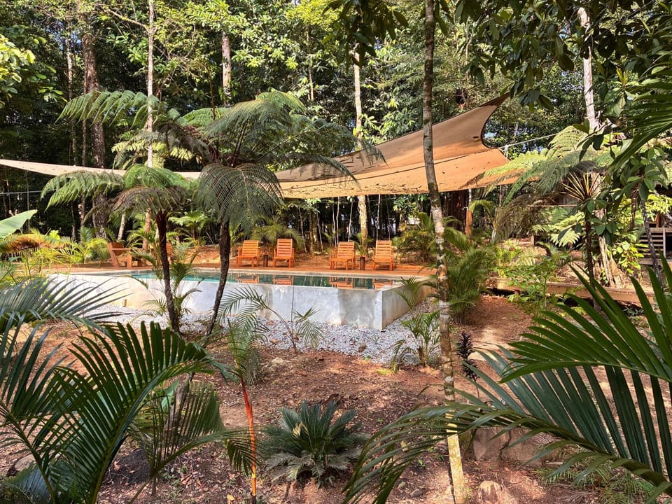 Garden, Swimming pool