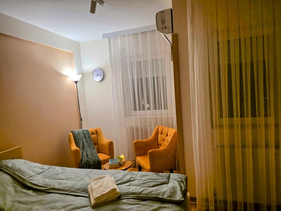 Bed, Living room, Photo of the whole room, Seating area, air conditioner