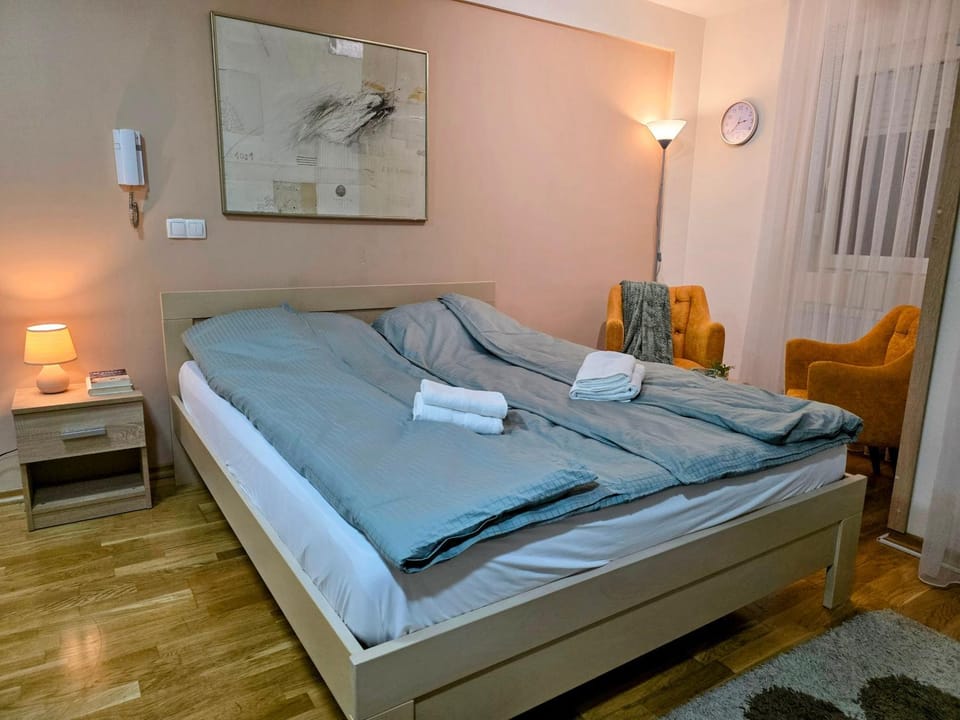 Bed, Living room, Photo of the whole room, Seating area, Bedroom