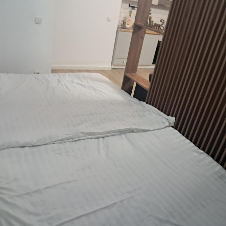 Trio Caracatita Apartment in Romania