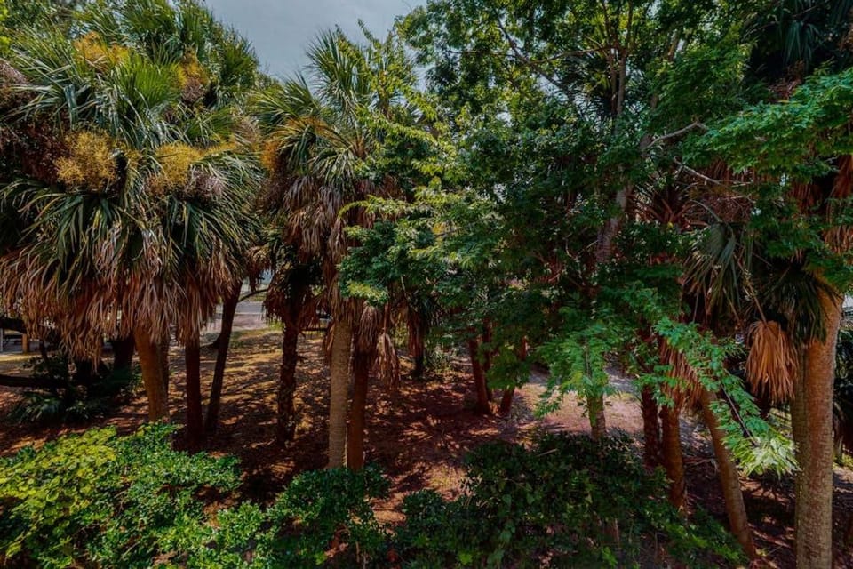 Sea Sea Rider House in Edisto Beach