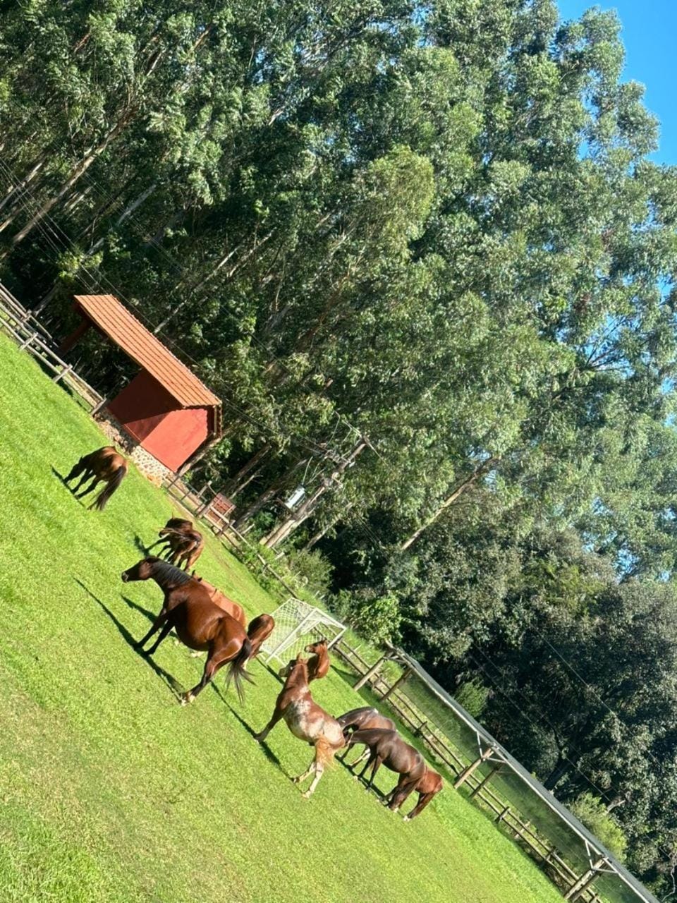 Estancia La Paulina House in Misiones Province, Argentina