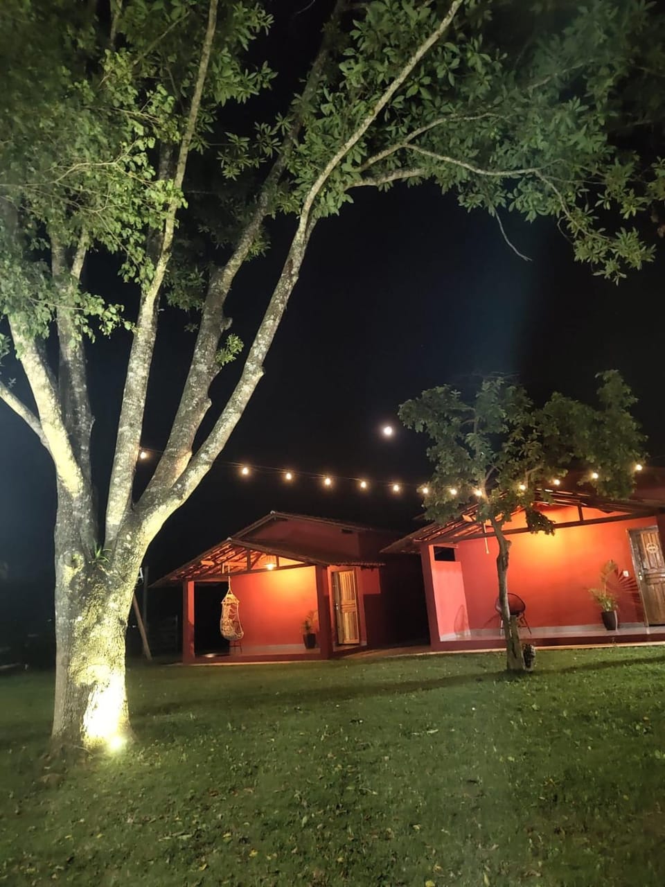 Property building, Night, Natural landscape, Garden, Garden view