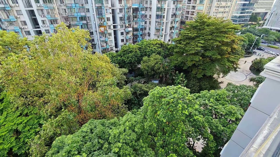 Natural landscape, Bird's eye view, Garden, Garden view