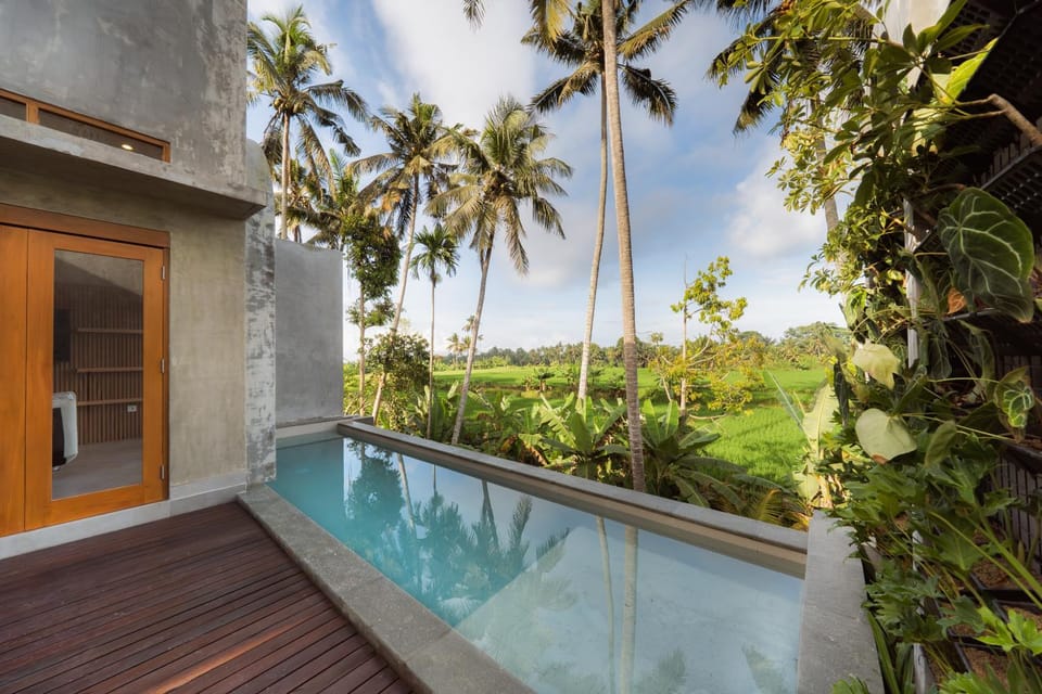 Pool view, Swimming pool
