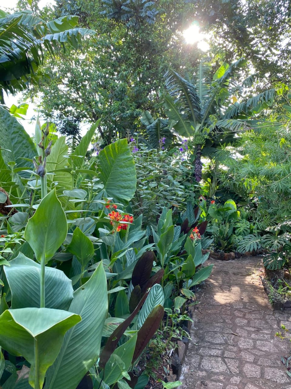 Cabañas Paraíso Iguazú House in Puerto Iguazú
