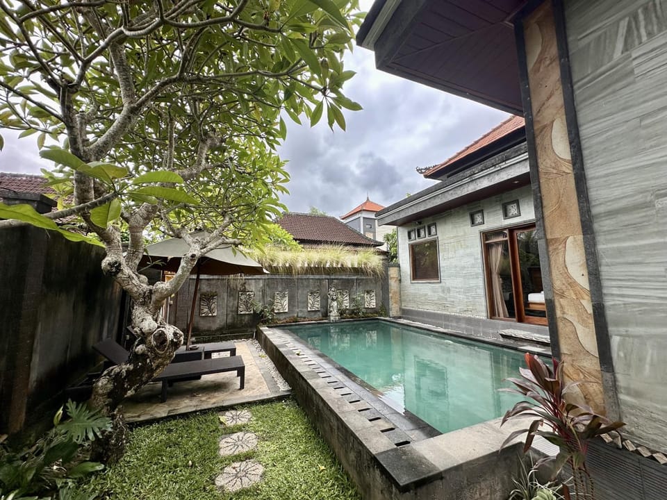 Garden view, Pool view, Swimming pool, sunbed