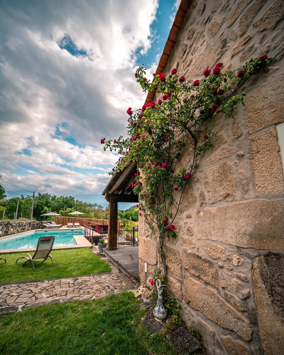 Garden, Garden view, Pool view, Swimming pool