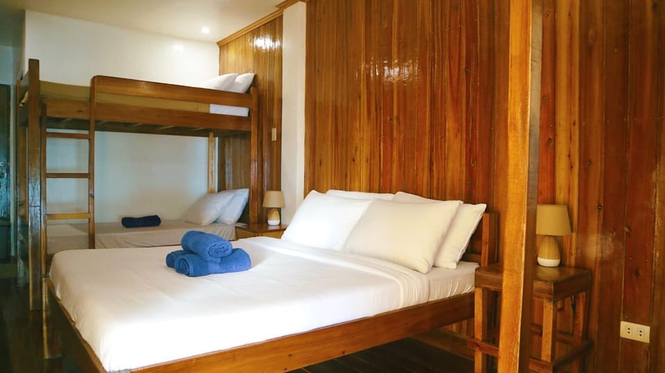 Bed, Photo of the whole room, Bedroom, bunk bed
