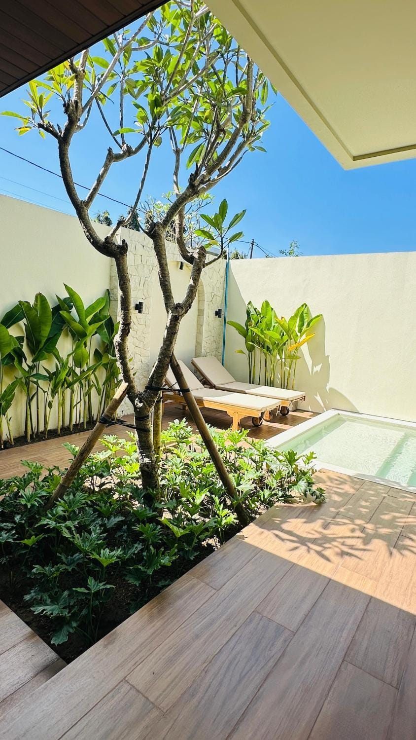 Garden, Garden view