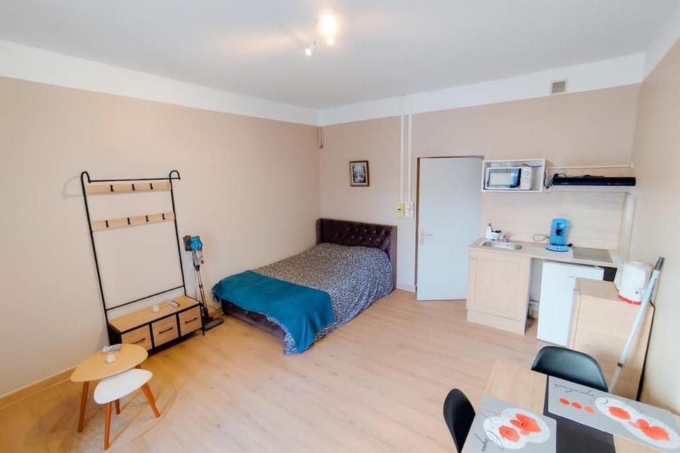 Appartement en RDC climatisé à 100m des cures Apartment in Occitanie
