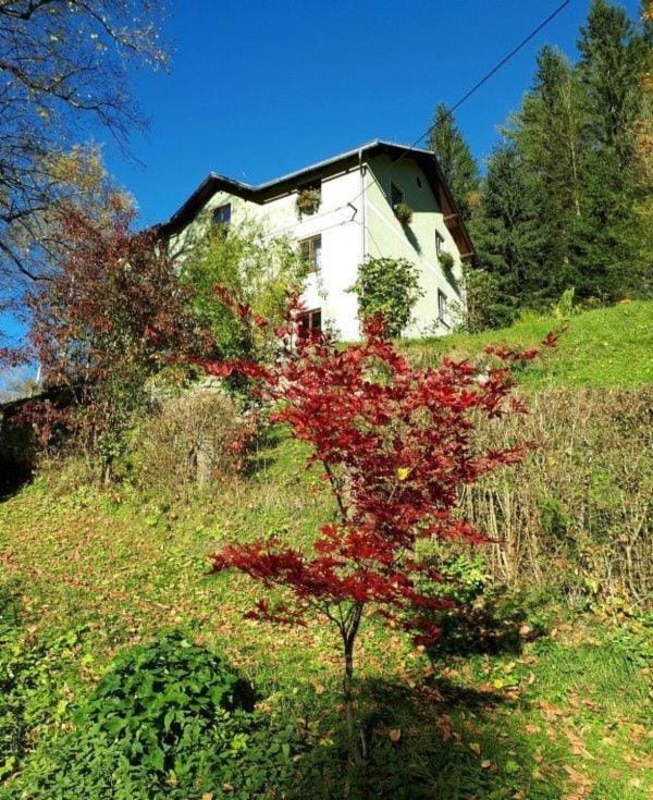 Property building, Day, Garden, Garden, Garden view