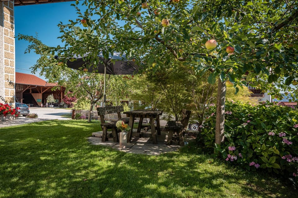 Ferienwohnung Tenne - Weissnhof Apartment in Bavaria