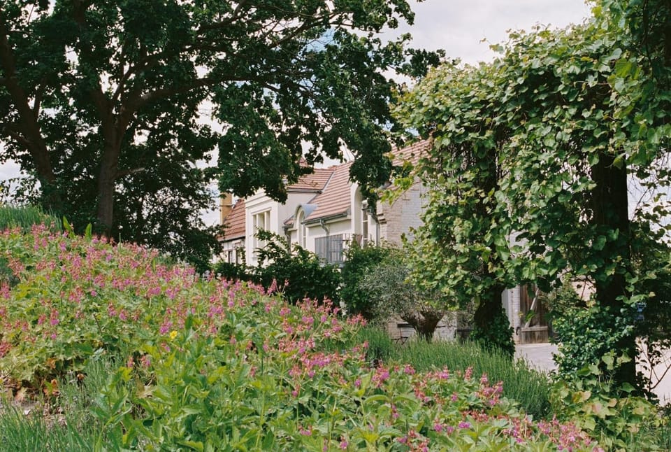 Property building, Garden