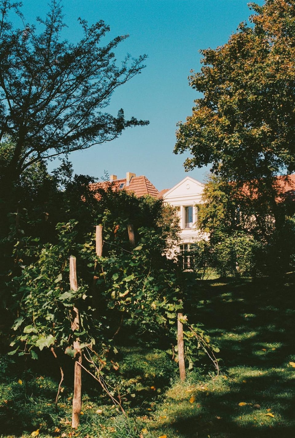 Property building, Garden