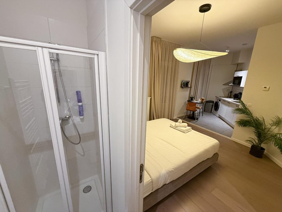 Studio 402 Avenue Louise Apartment in Saint-Gilles