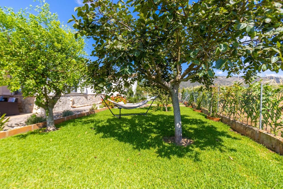 Patio, Garden, Garden view