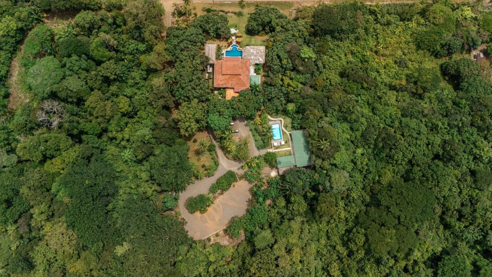 Restaurant/places to eat, Natural landscape, Bird's eye view