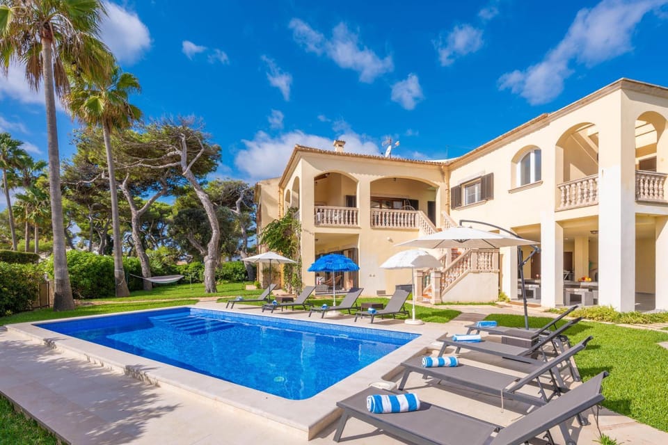 Property building, Garden, sunbed
