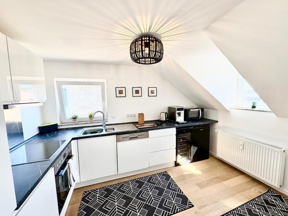 Lake view, central, terrace Apartment in Thuringia, Germany