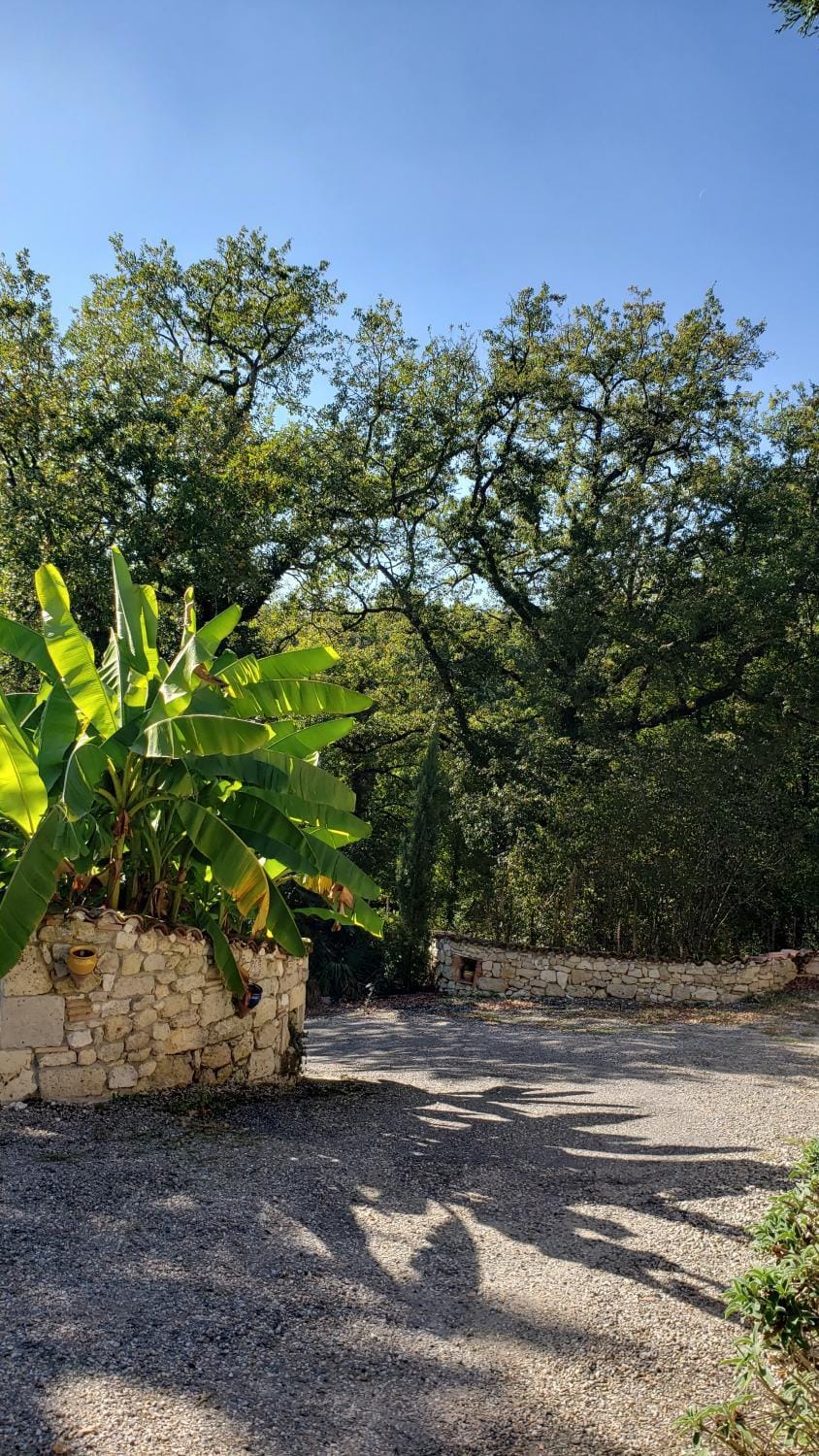 Natural landscape, Garden