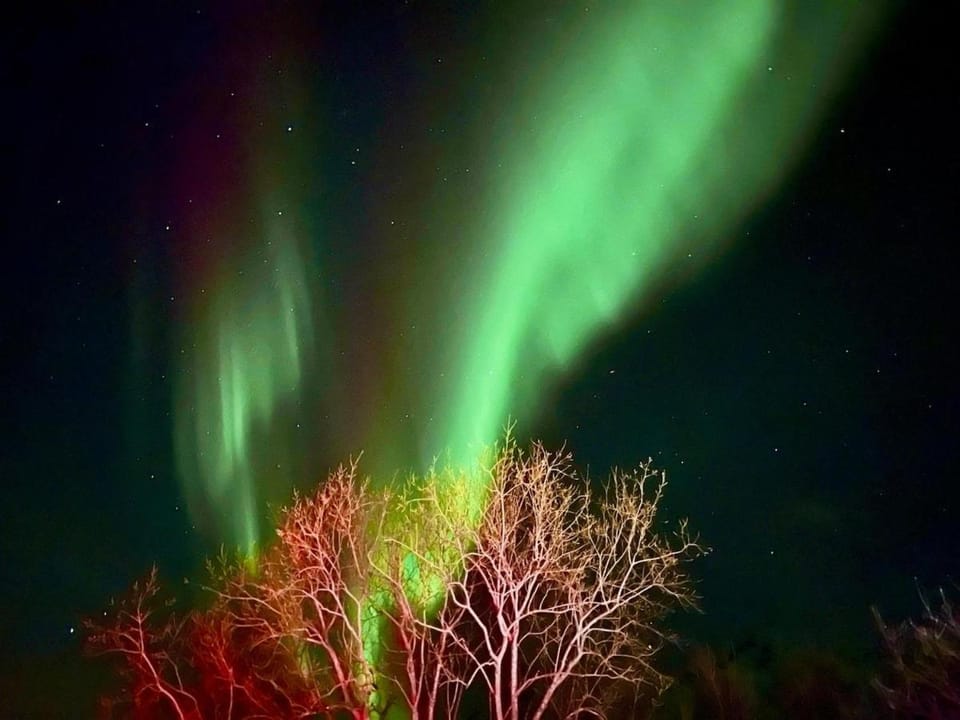 Night, Natural landscape