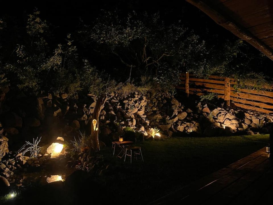 Night, Garden