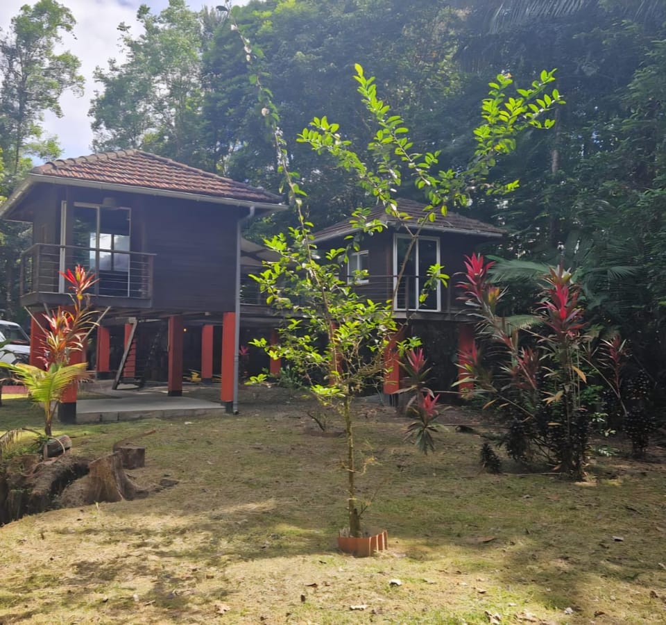 Nature lodge Nature lodge in Arrondissement of Cayenne, French Guiana