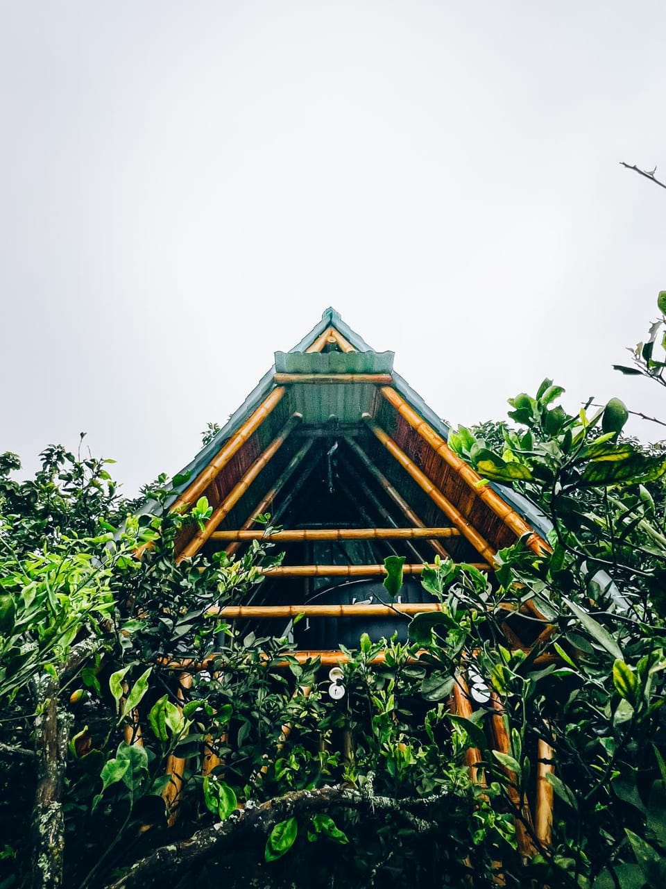 Property building, Day, Natural landscape, Garden