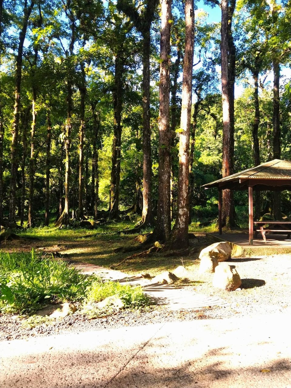 Kreol Green Place Apartment in Fort-de-France