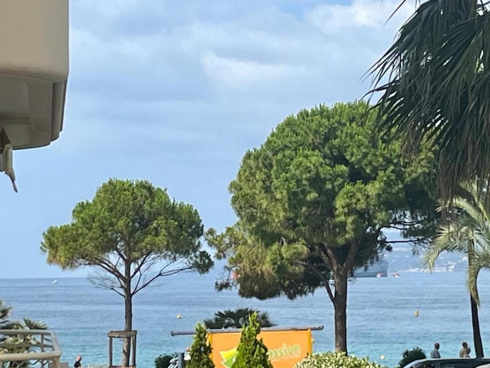 Cannes Croisette 2 suites - à côté du Martinez Apartment in Cannes