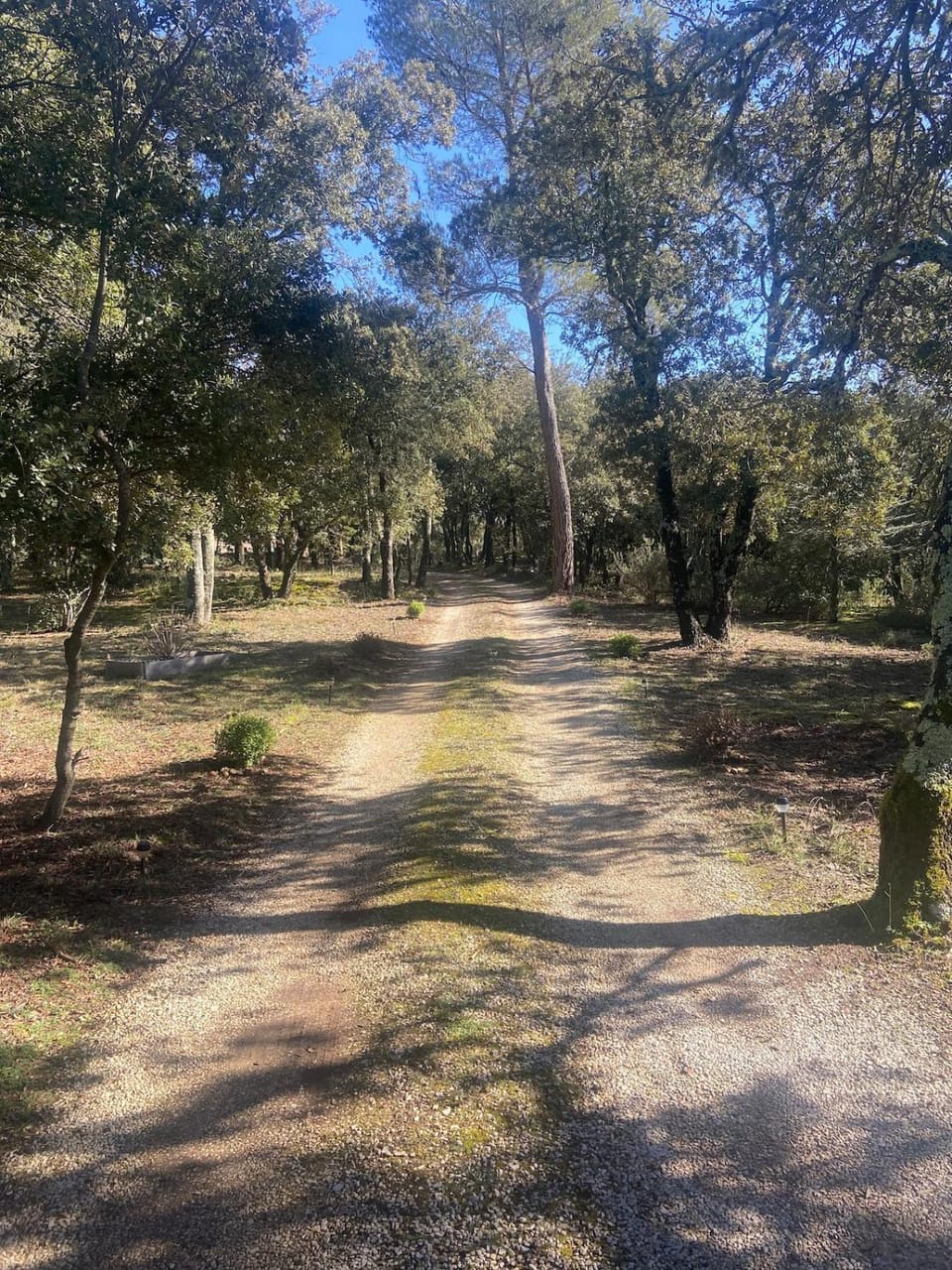 Le bois des chênes Villa in French Riviera