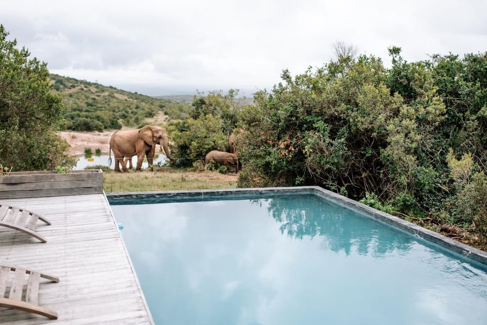 Day, Natural landscape, Pool view, Swimming pool, Swimming pool