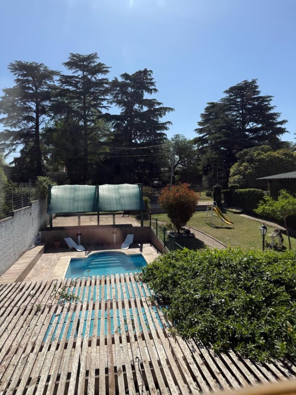 Garden, Garden view, Pool view