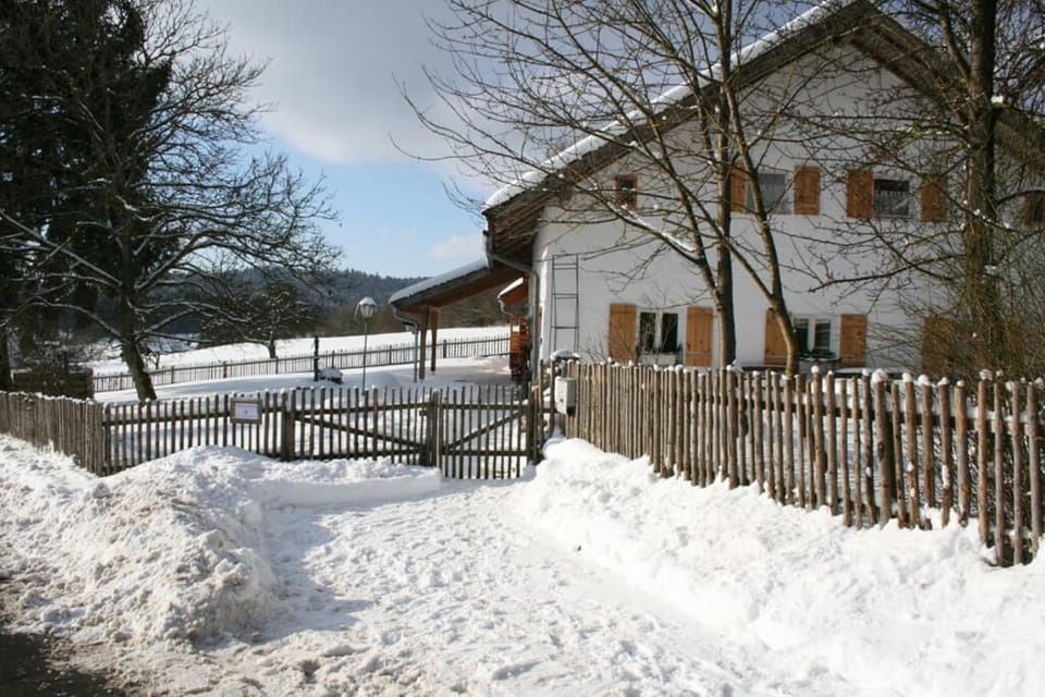 Property building, Winter