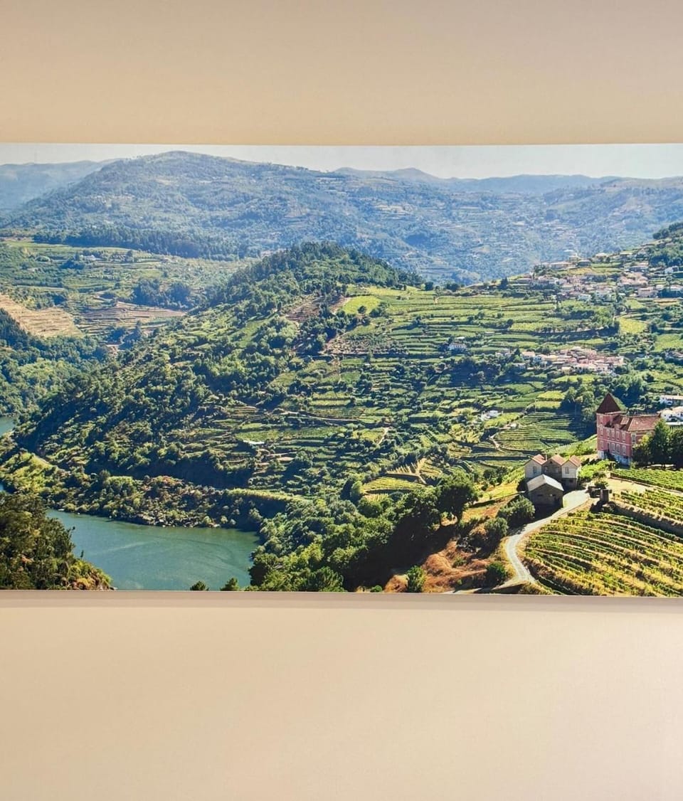 Douro Views by MyMoradia Apartment in Porto