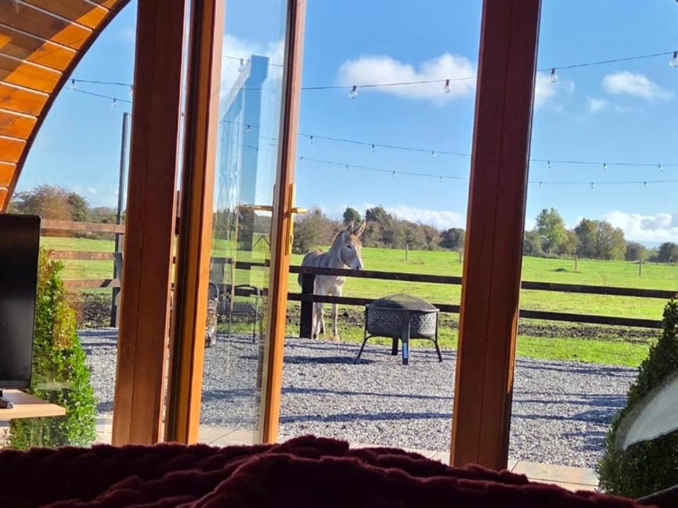 Blackditch hideaway cabin Cabin in Ireland