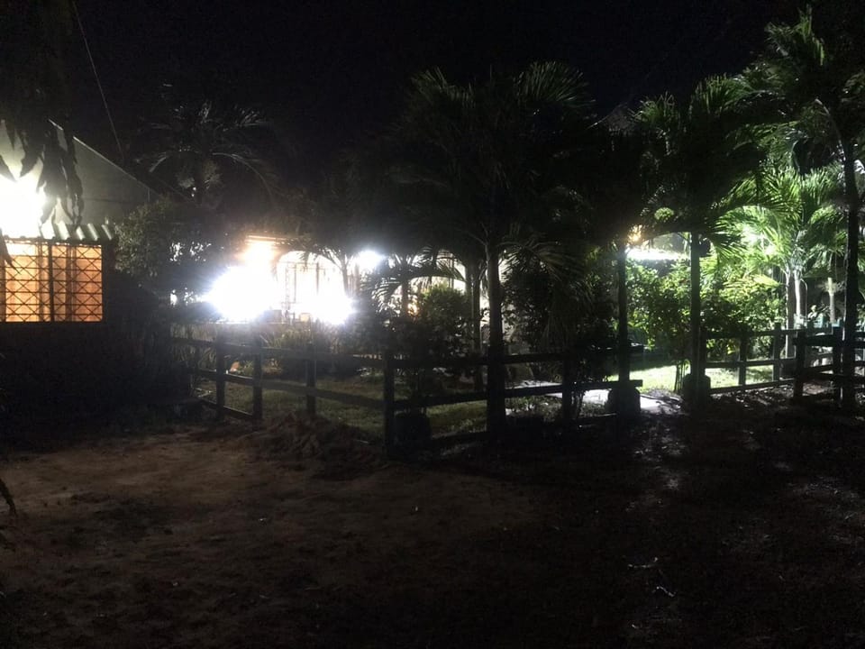 Night