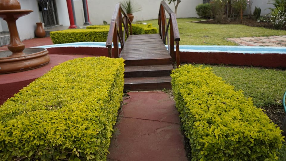 Garden view