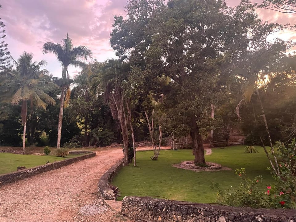El Castillo Tropical Cabrera Bed and Breakfast in María Trinidad Sánchez Province