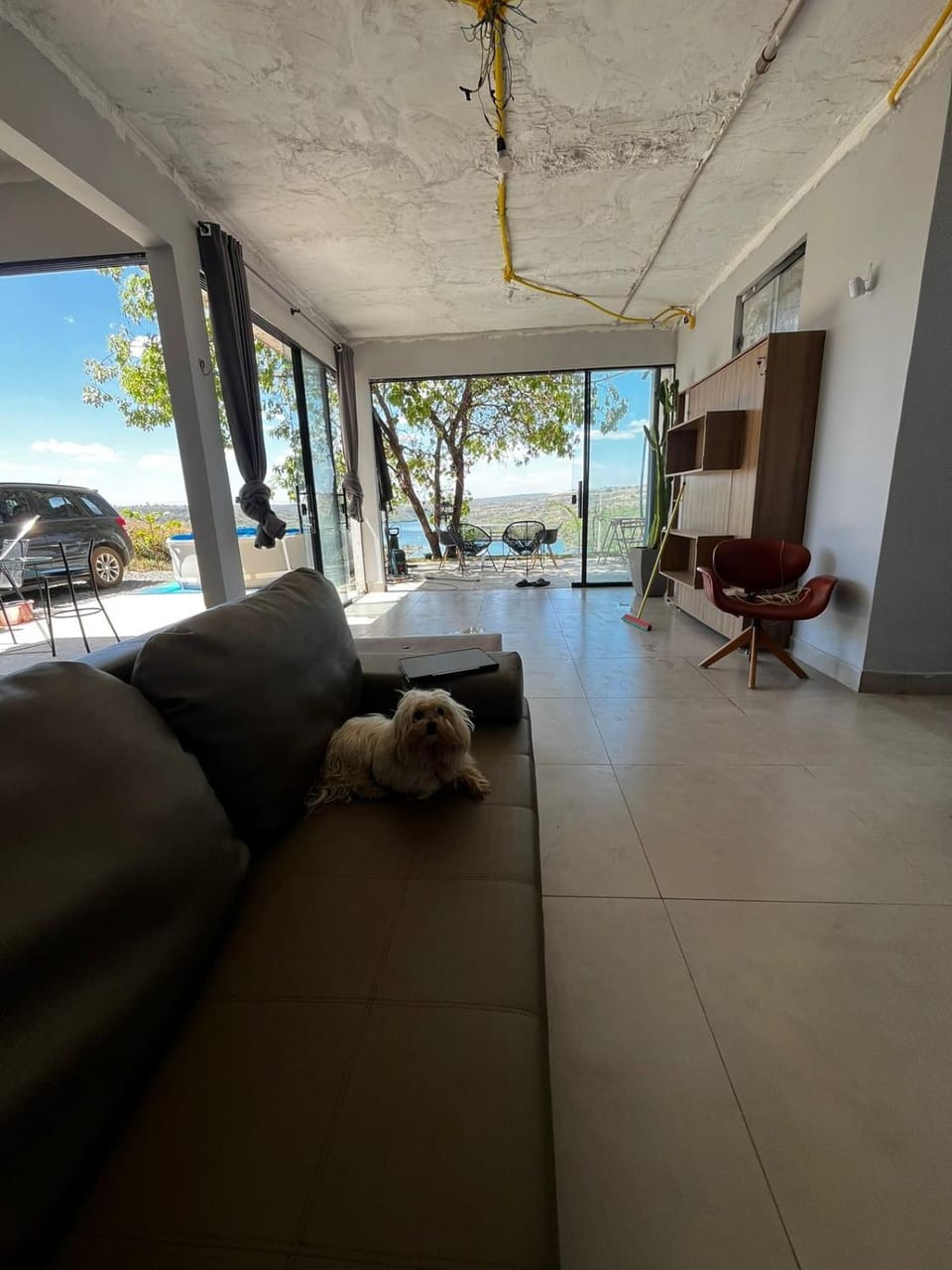 Living room, Pets