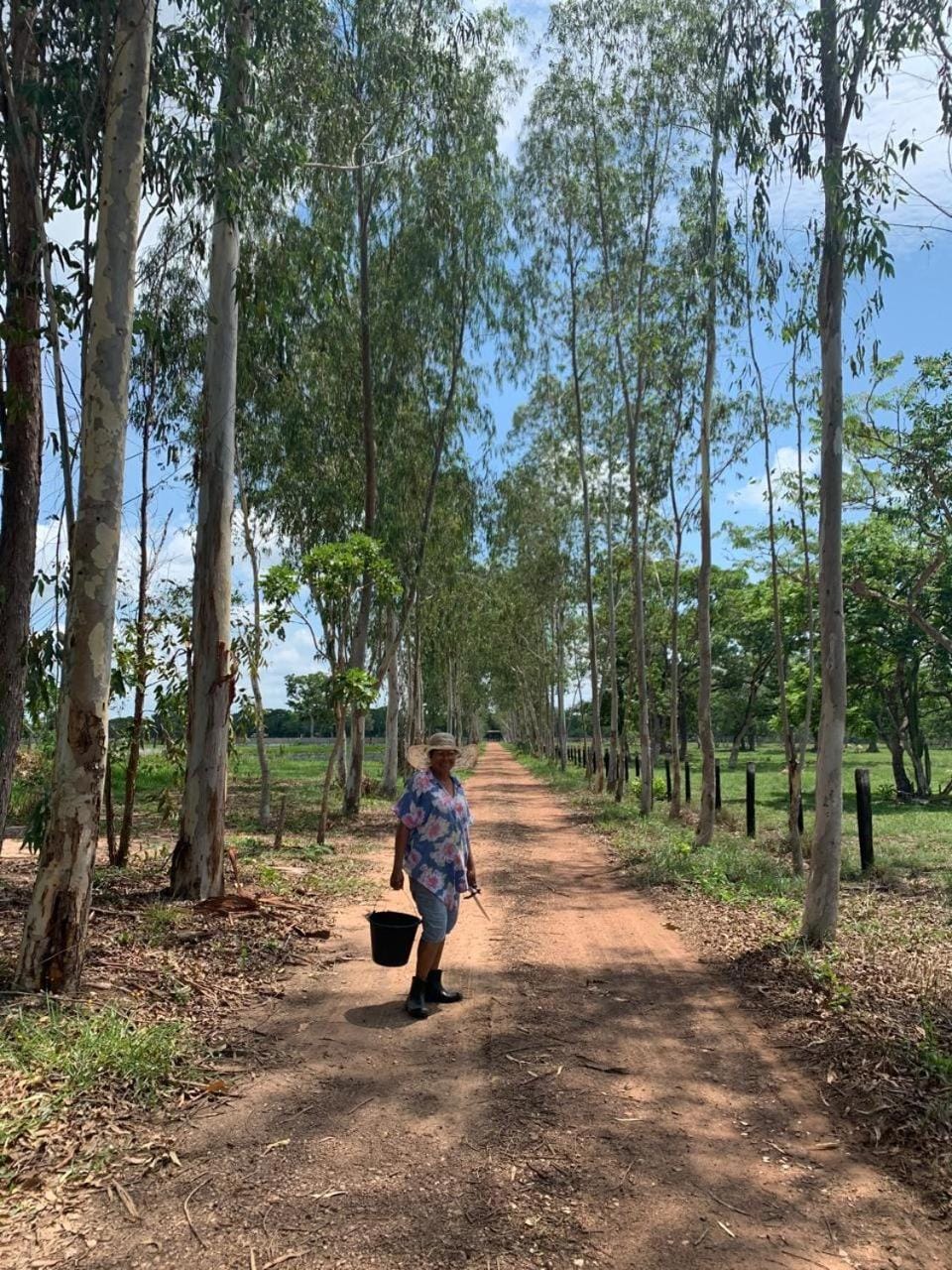 Estancia proximo Rio em Leverger House in State of Mato Grosso, Brazil