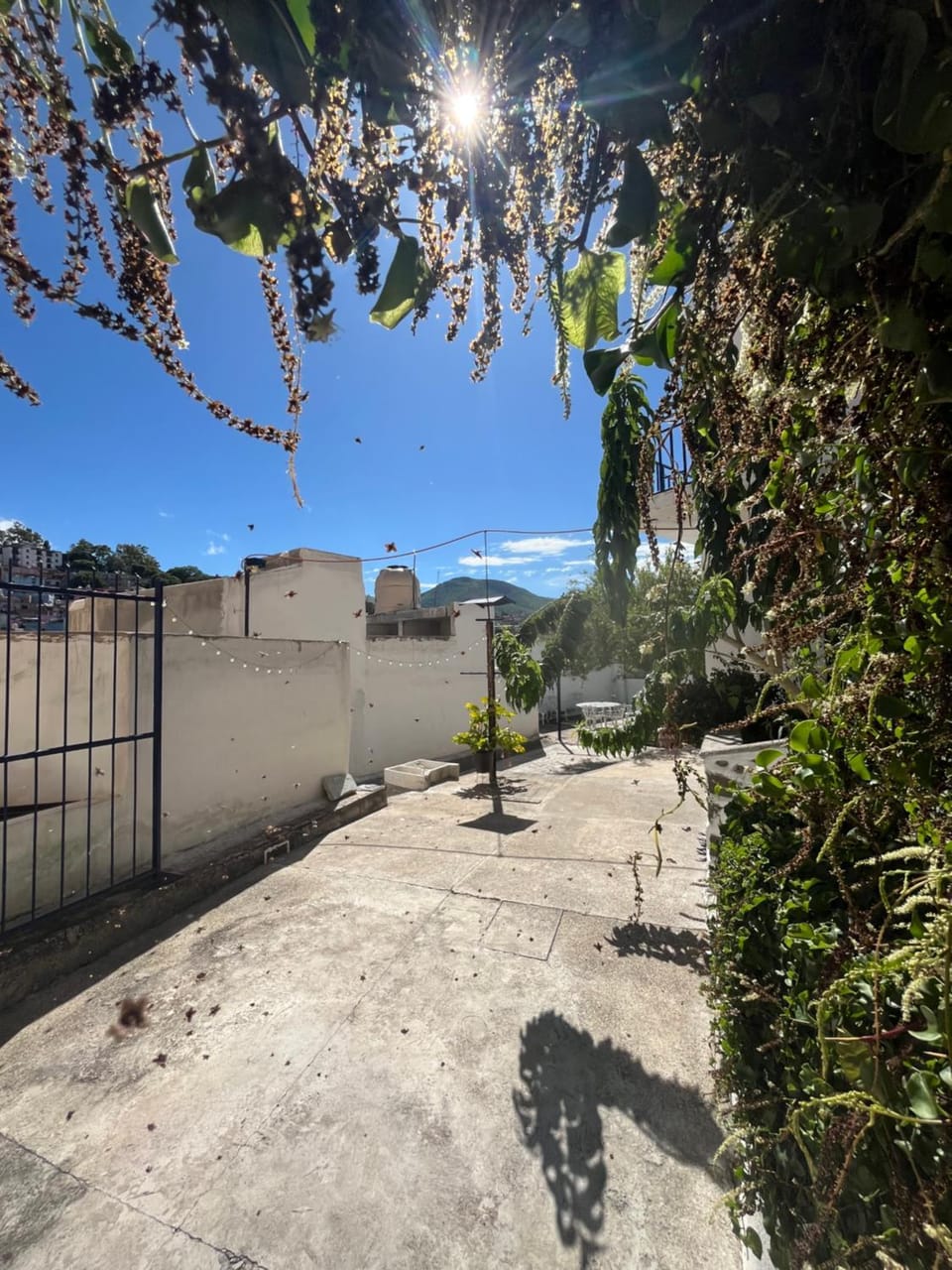 Casa Angelitos Vacation rental in Guanajuato