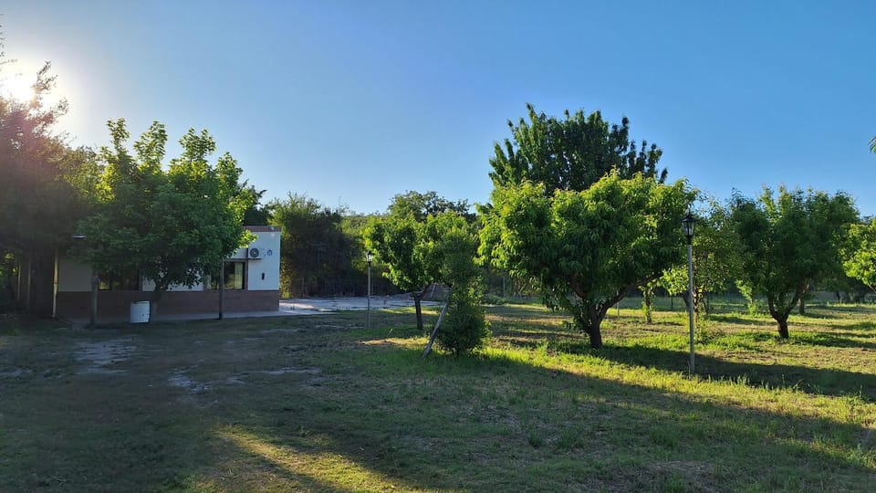 Spring, Off site, Natural landscape, Garden, Garden view