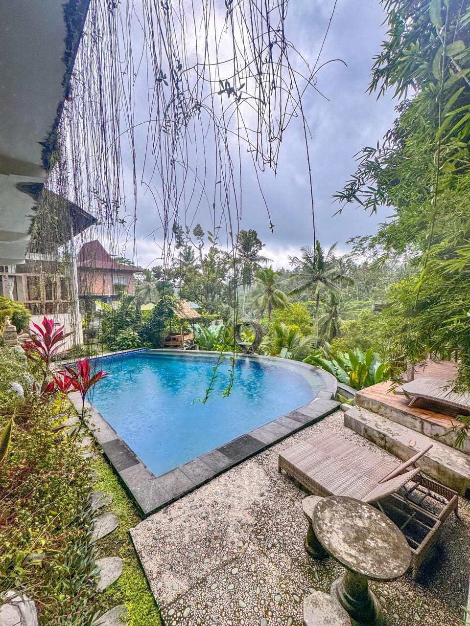 Garden view, Swimming pool