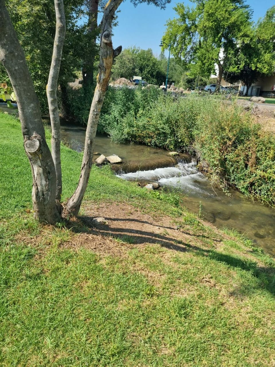 River and Mountains House in North District