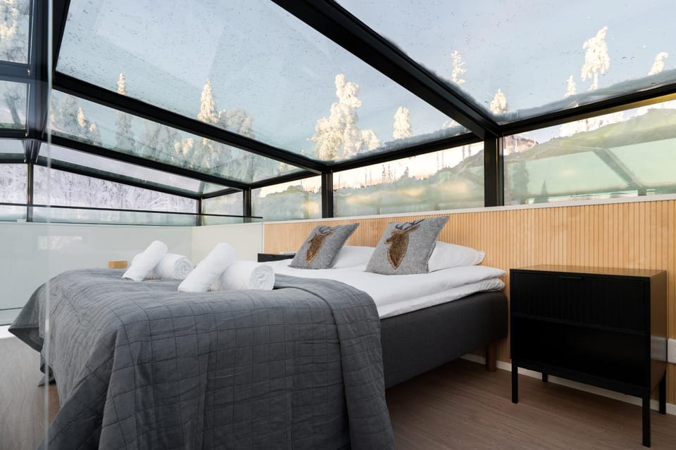 Aurora Paradise Levi Iglu House in Lapland