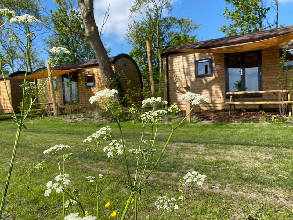 Aqua Lodge House in North Holland (province)