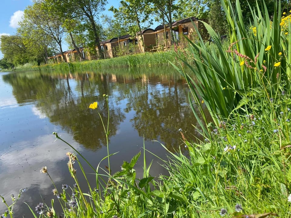 Aqua Lodge House in North Holland (province)